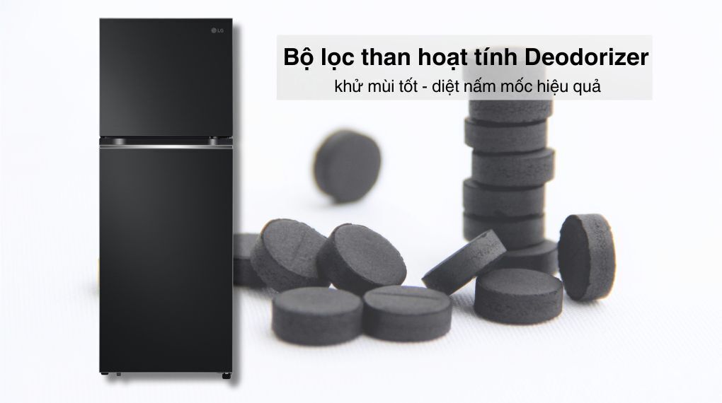 tủ lạnh lg inverter 315 lít ltb31blm