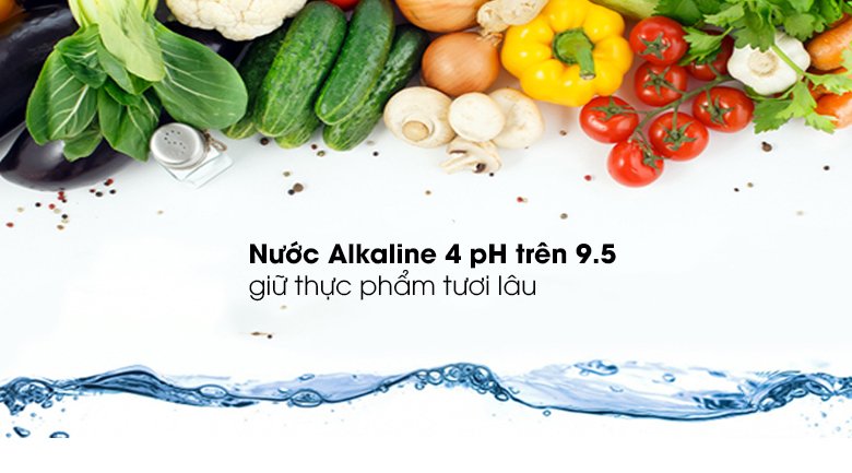 máy lọc nước điện giải ion kiềm panasonic tk-ab50 5 tấm điện cực