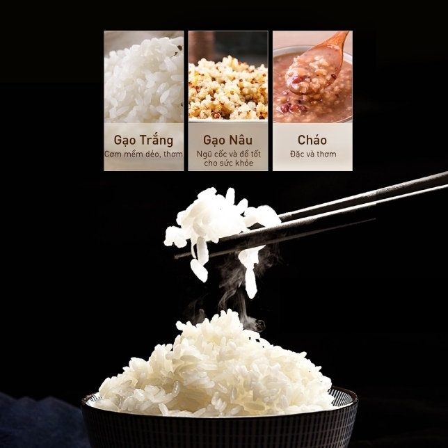 nồi áp suất điện panasonic nf-pc400kra 4 lít