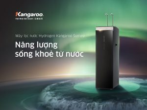 máy làm nóng lạnh nước uống kangaroo kg35a2