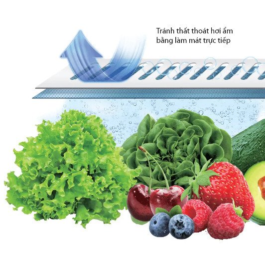 tủ lạnh toshiba inverter 535 lít japandi multi door gr-rf695wi-pgv(67)