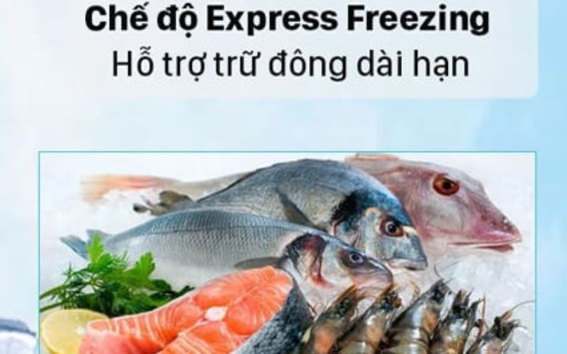 tủ lạnh lg 195 lít lob16bgm