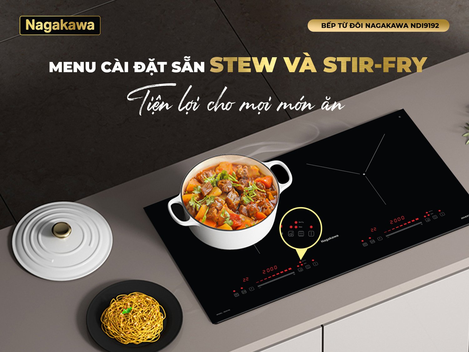 bếp điện từ đôi nagakawa ndi9192