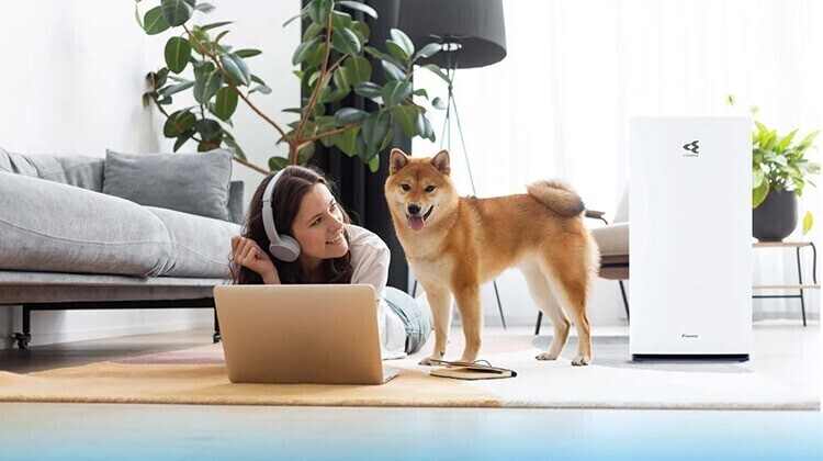 lọc không khí daikin mc80zvm7