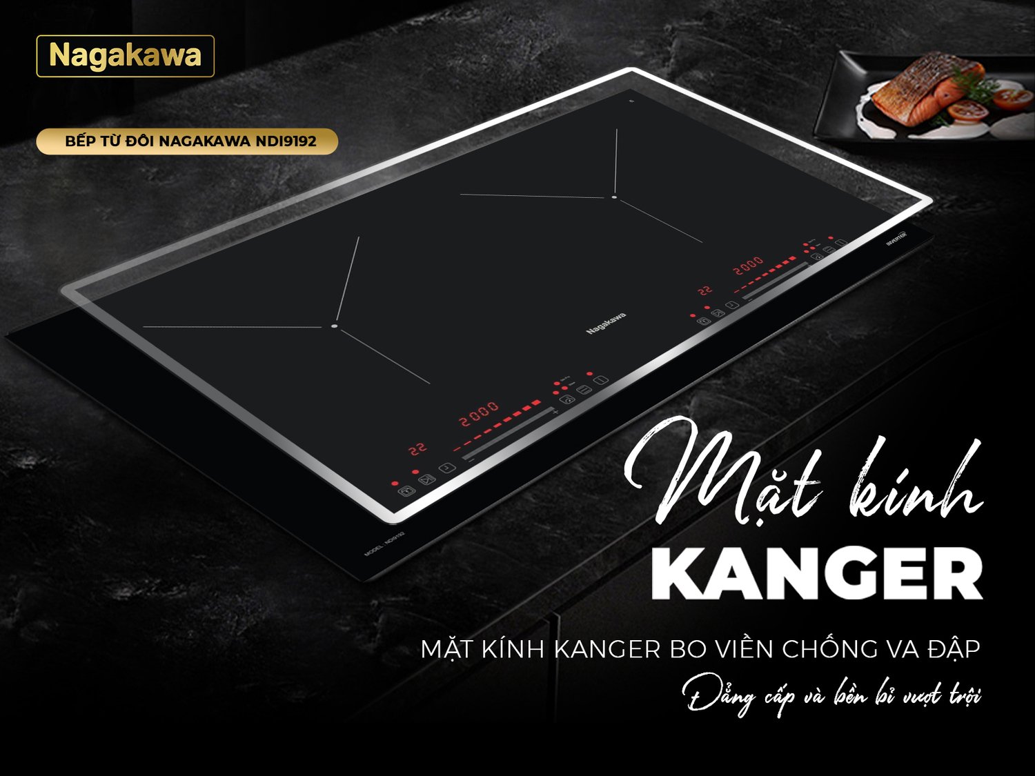 bếp điện từ đôi nagakawa ndi9192