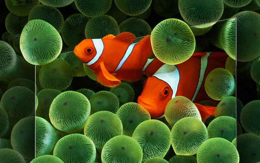 google tivi casper 4k 50 inch d50ugc620