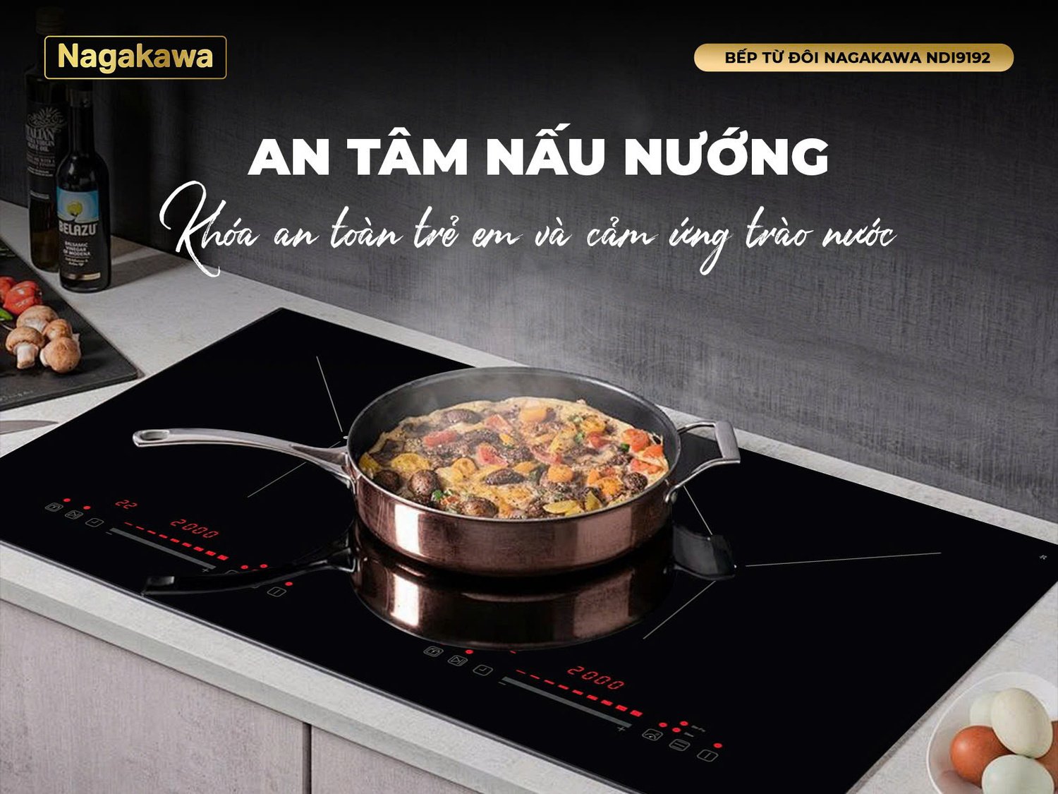bếp điện từ đôi nagakawa ndi9192
