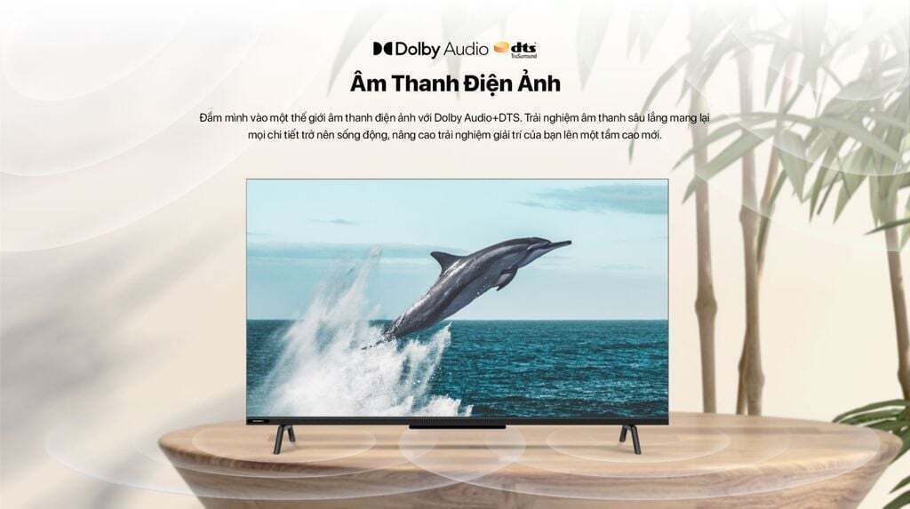 google tivi skyworth 4k 55 inch 55g6500g