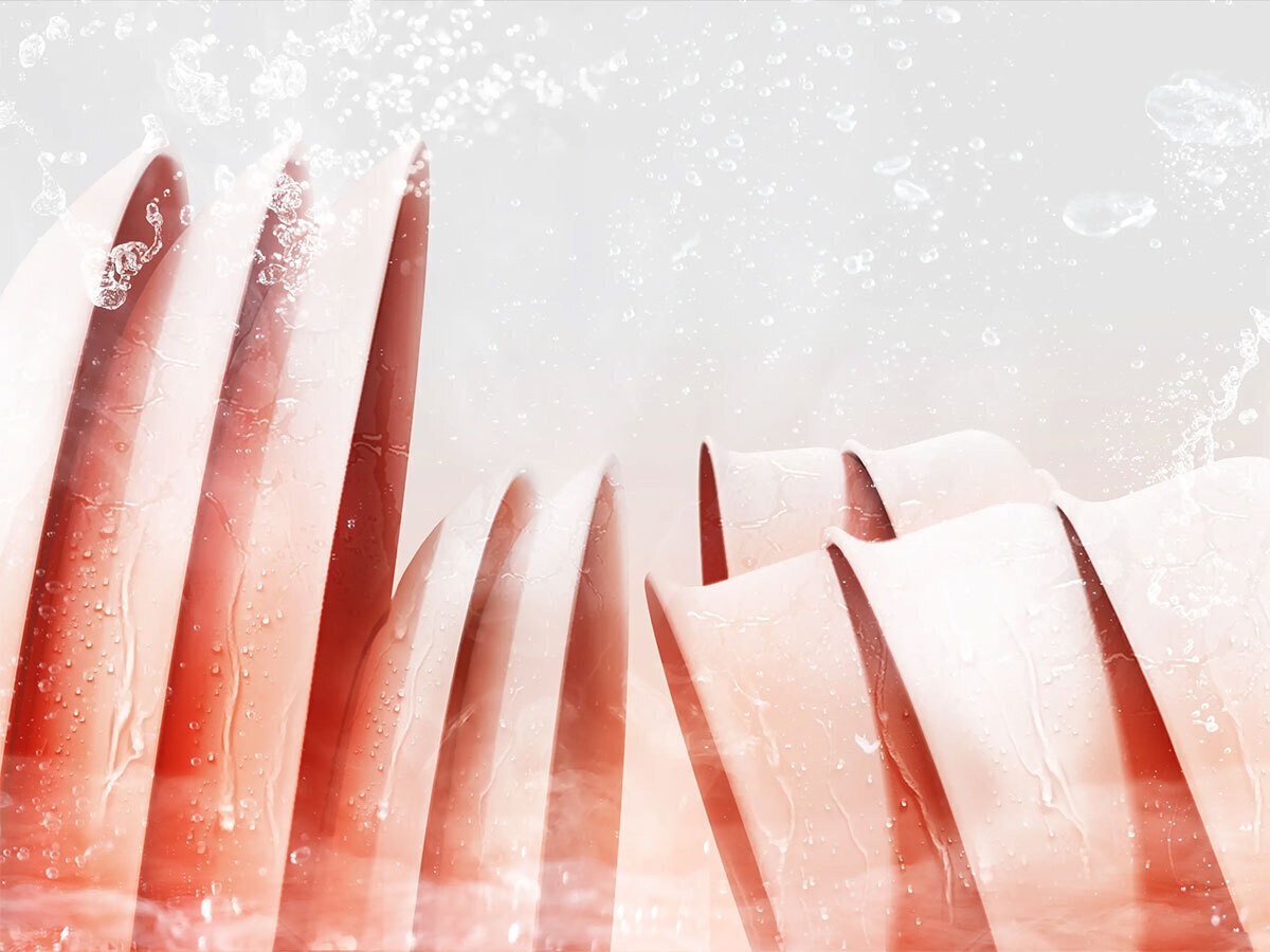 máy rửa chén toshiba originclean dw-15f7(g)-vn