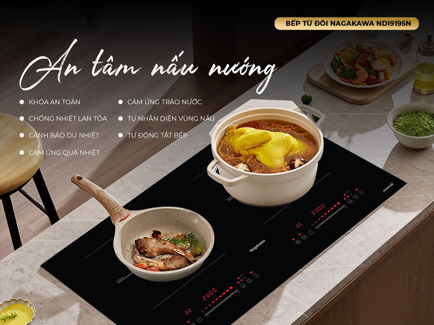 bếp điện từ đôi nagakawa ndi9194
