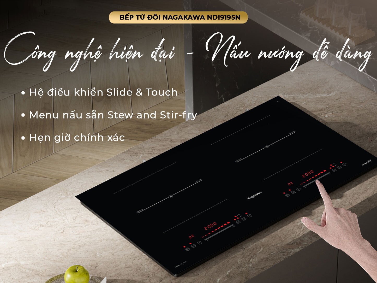 bếp điện từ đôi nagakawa ndi9194