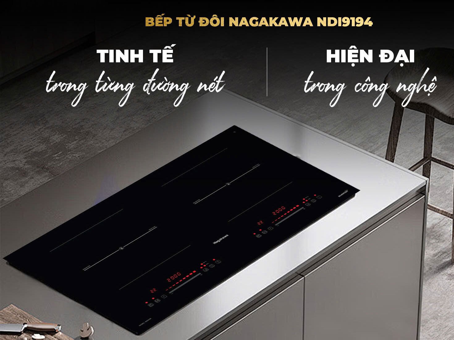 bếp điện từ đôi nagakawa ndi9194