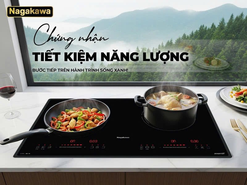 bếp đôi 1 điện từ 1 hồng ngoại nagakawa nii8996
