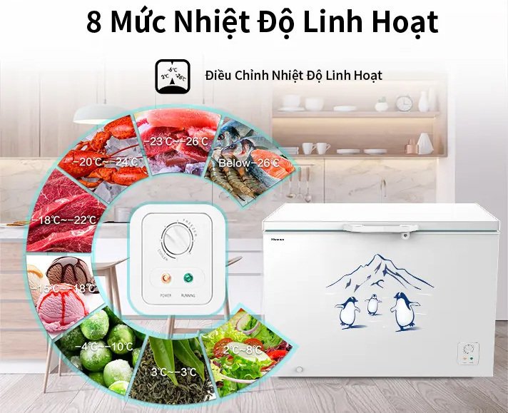 tủ đông hisense 300 lít fc380d4ewc1