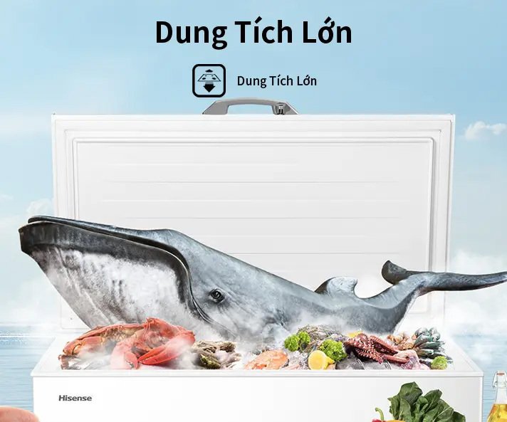tủ đông hisense 300 lít fc380d4ewc1