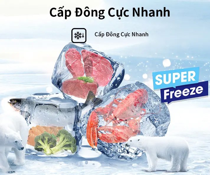 tủ đông hisense 300 lít fc380d4ewc1