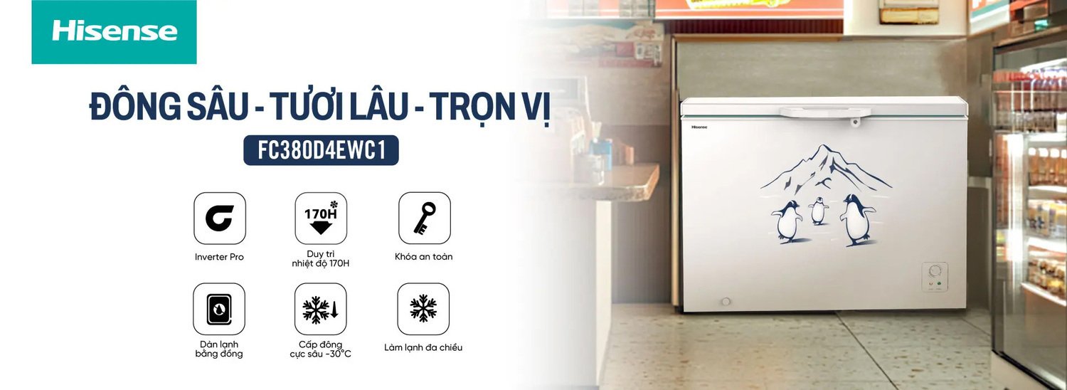 tủ đông hisense 300 lít fc380d4ewc1