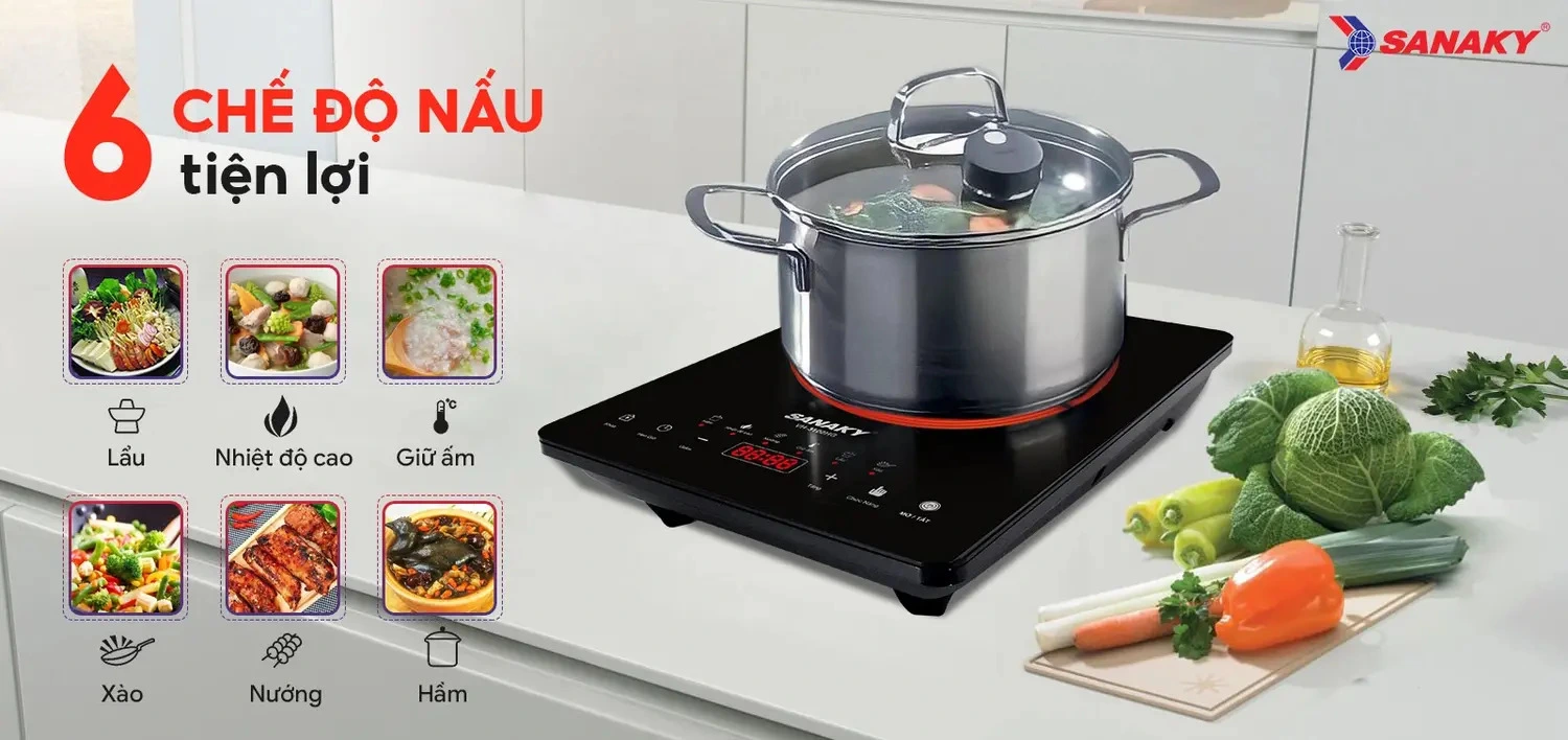 bếp hồng ngoại đơn sanaky vh-3100hg