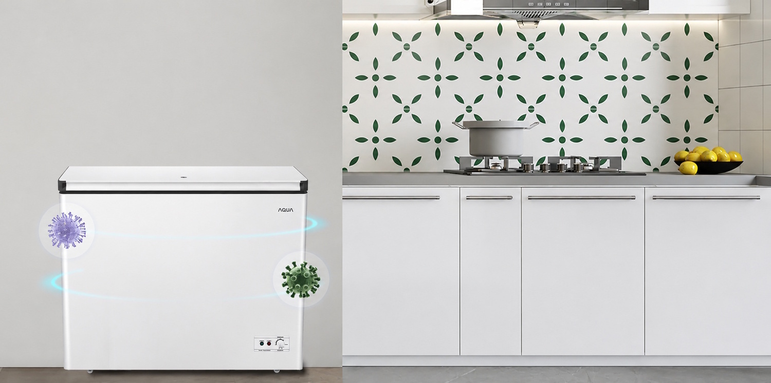 tủ đông aqua inverter 252 lít aqf-c3501en