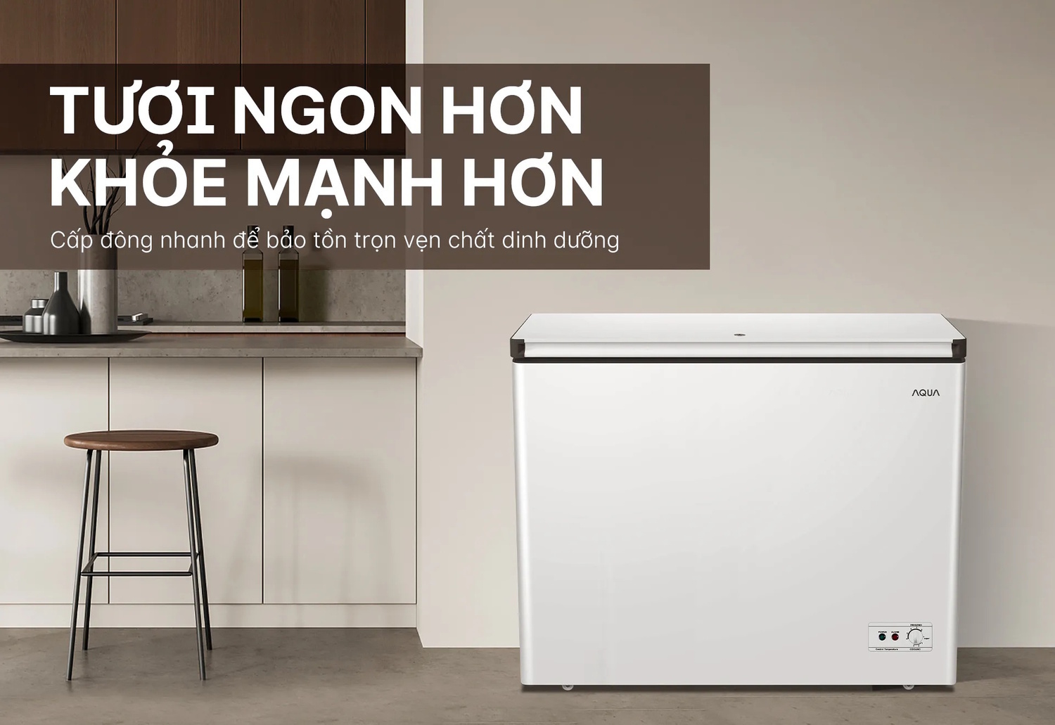 tủ đông aqua inverter 252 lít aqf-c3501en
