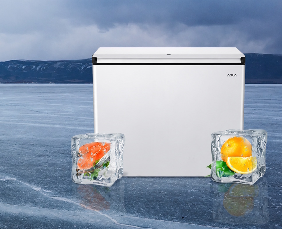 tủ đông aqua inverter 252 lít aqf-c3501en