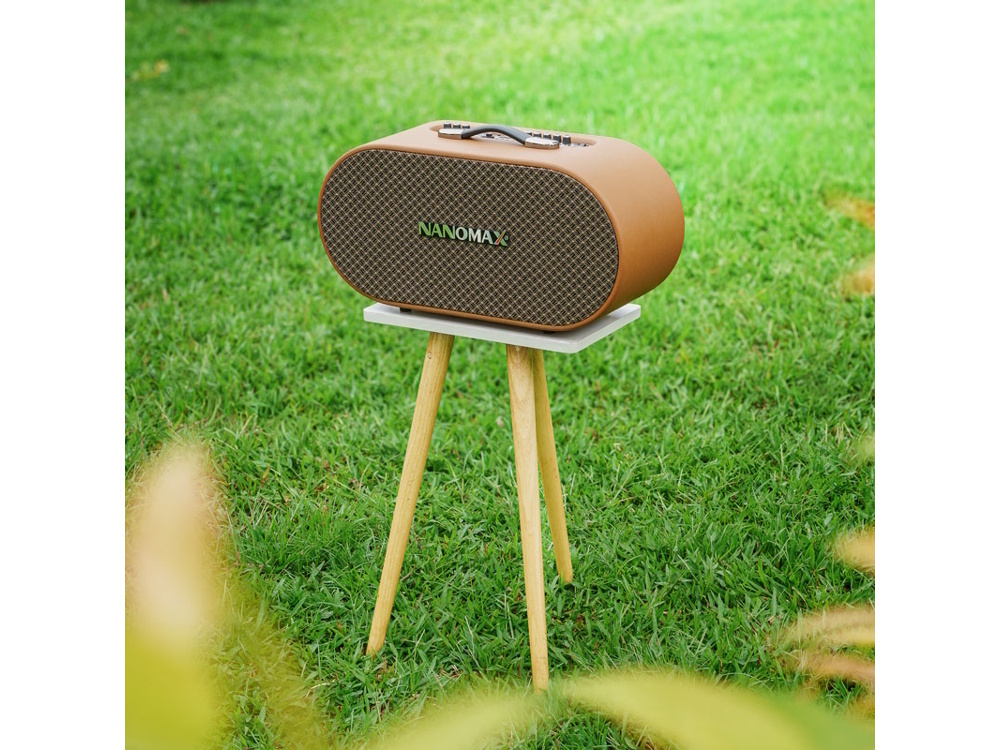 loa karaoke xách tay nanomax k-05 (bass đôi 20cm, 320w)