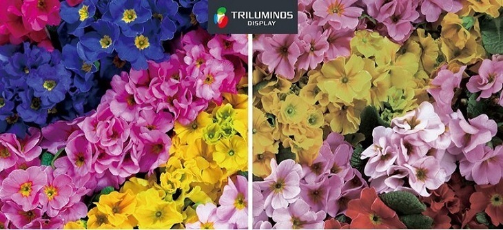 tivi sony và các công nghệ hình ảnh độc đáo