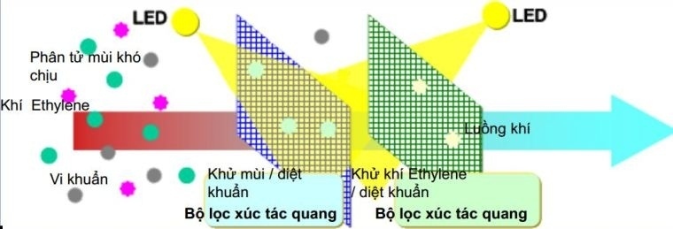 công nghệ kháng khuẩn trên tủ lạnh toshiba
