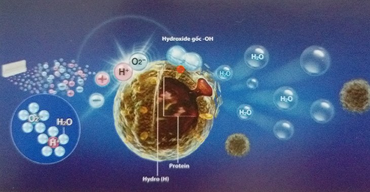 công nghệ plasmacluster ion trên máy lọc không khí sharp là gì?