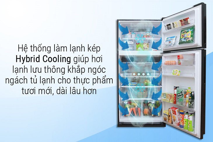 các công nghệ nổi bật trên tủ lạnh sharp