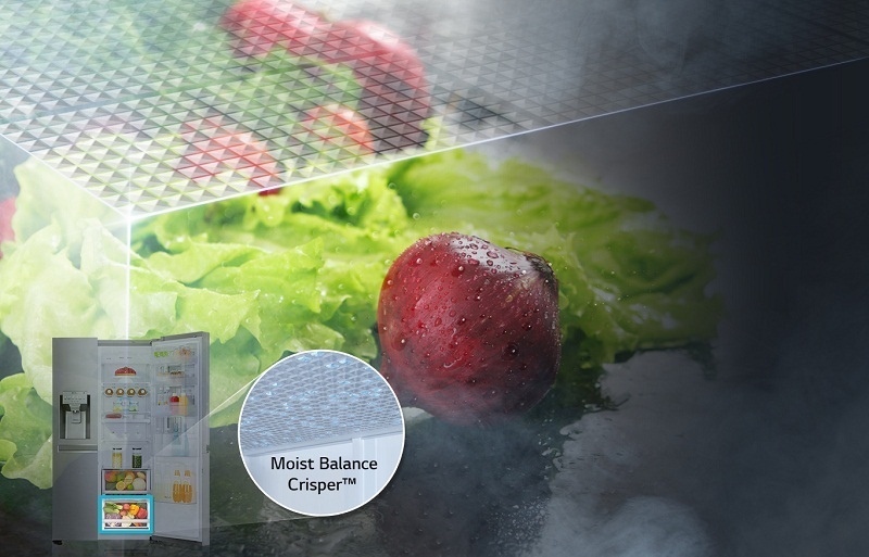 các công nghệ và tiện ích thường gặp trên tủ lạnh