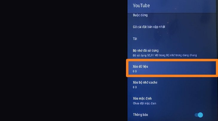 hướng dẫn cách khắc phục các lỗi youtube thường gặp trên tivi sony