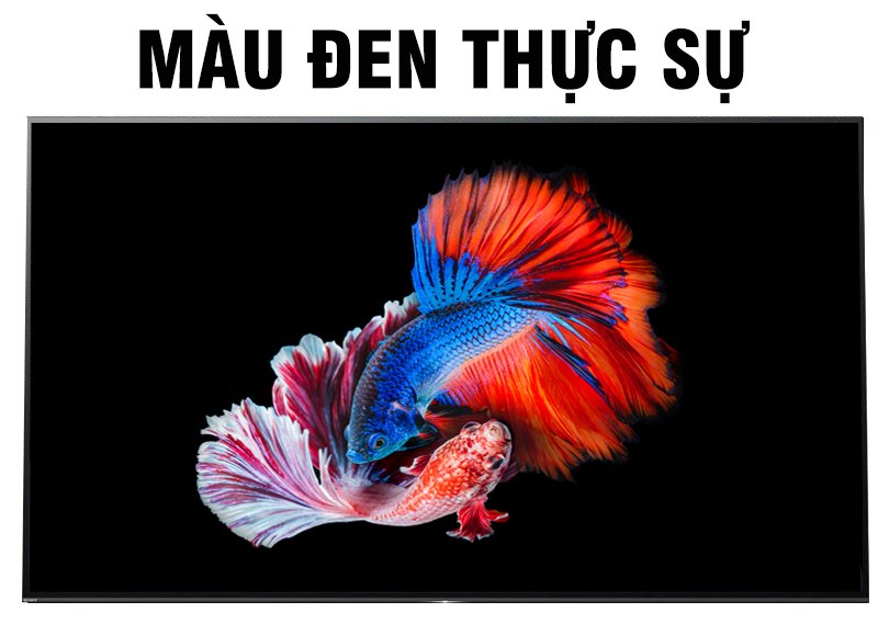 đánh giá tổng quan "siêu phẩm" tivi oled sony a1