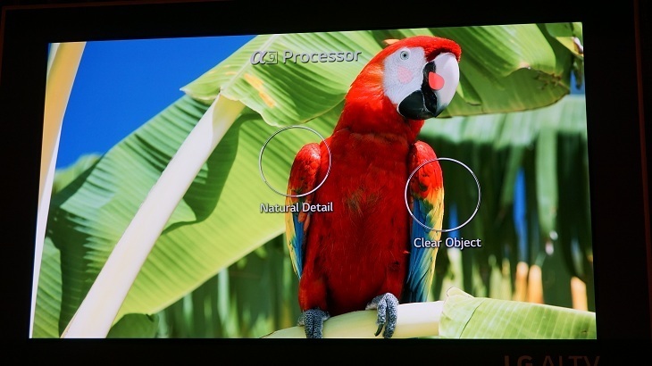 [ces 2018] lg tiếp tục hé lộ siêu phẩm lg signature oled w8 siêu mỏng dán tường