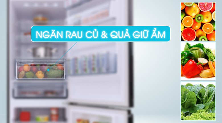 các điểm nổi bật trên tủ lạnh panasonic năm 2018