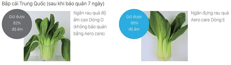 ngăn đựng rau quả aero-care trên tủ lạnh cao cấp hitachi