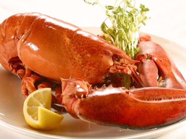 cách nướng thịt bằng lò nướng thủy tinh