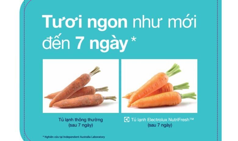 các chức năng chính trên tủ lạnh electrolux