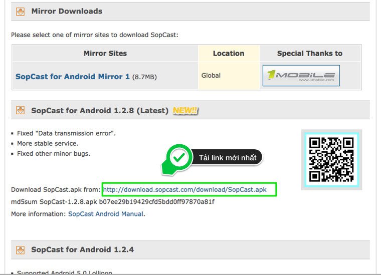 cách xem bóng đá trực tuyến bằng sopcast trên android tivi