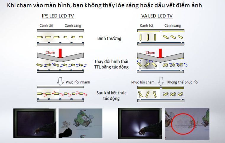 công dụng của tấm nền ips trên tivi lg