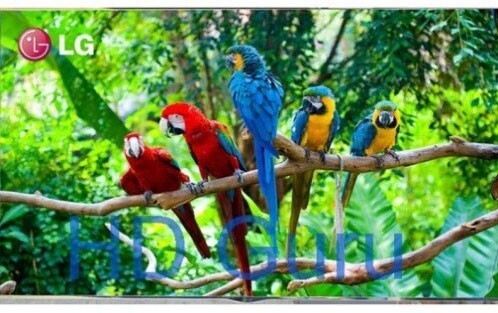 trải nghiệm hình ảnh sắc nét với công nghệ triple xd engine