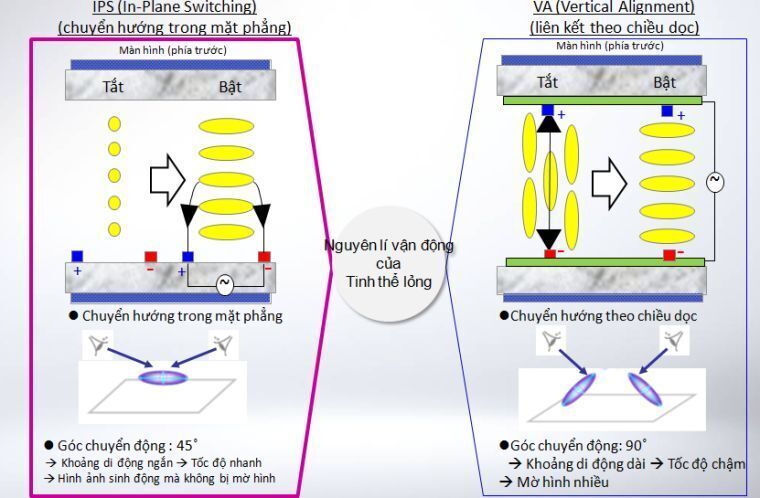 công dụng của tấm nền ips trên tivi lg