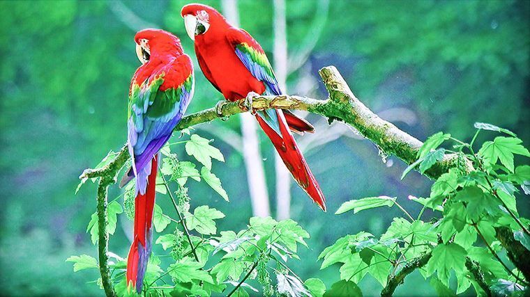 cách xem dữ liệu trong usb trên android tivi sony 2015