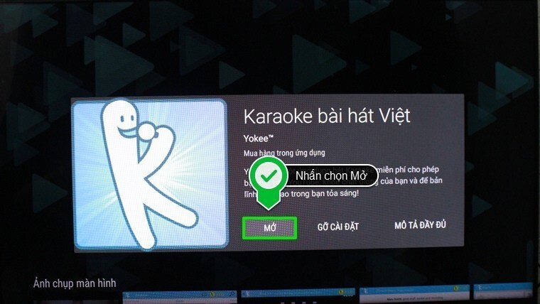 cách sử dụng ứng dụng hát karaoke trên android tivi sony