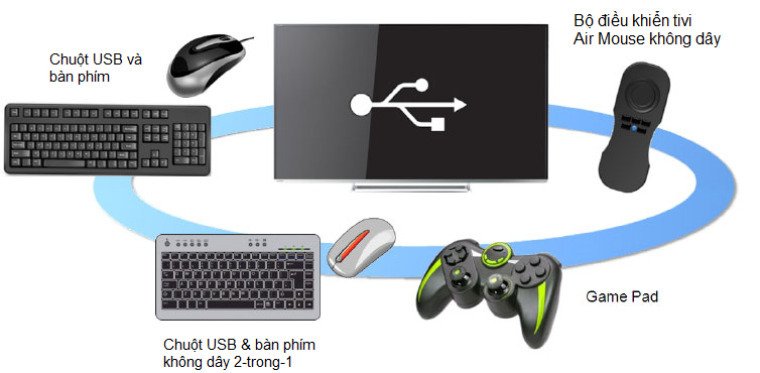 toshiba và những kết nối thông dụng