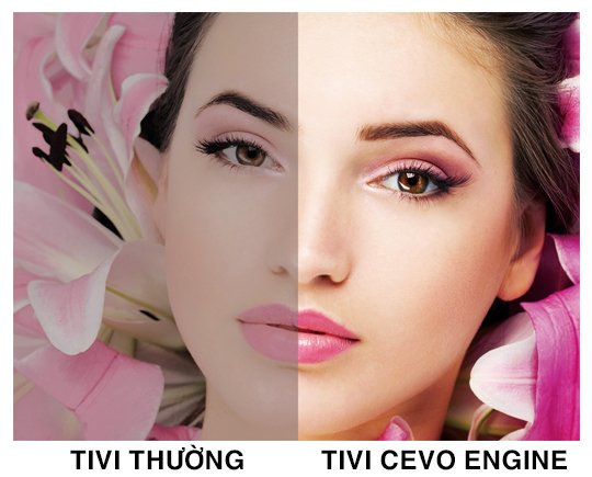 công nghệ hình ảnh trên tivi toshiba