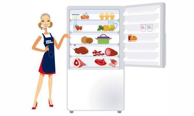 những điều cần biết về tủ lạnh ngăn đá trên và ngăn đá dưới