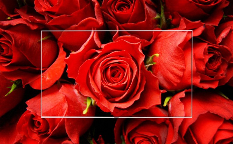 công nghệ tái tạo màu 4k hexa chroma drive pro trên tivi panasonic có gì độc đáo?