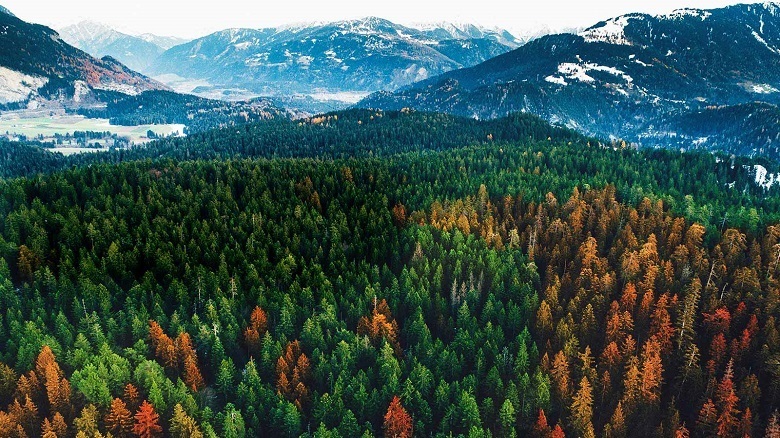 công nghệ hình ảnh trên tivi lg 2018