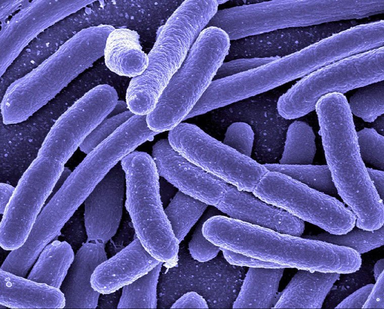 bộ lọc nanoe - g trên máy lạnh panasonic